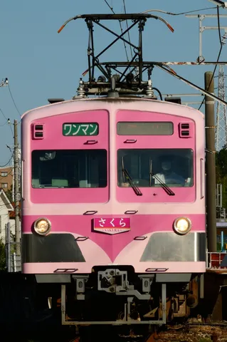 春色に染まる、さくら色の電車
