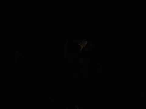 闇夜に灯る、希望の光