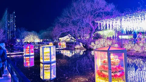 光彩が織りなす幻想的な夜