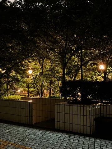 夜の木漏れ日と石畳