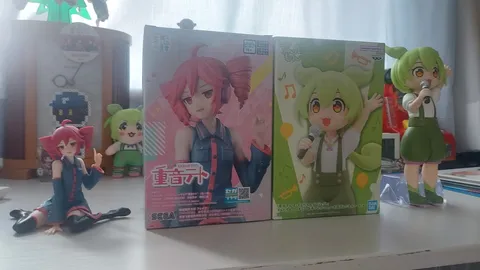 推しフィギュアと箱推し