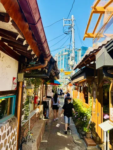 路地に映る夏の彩り