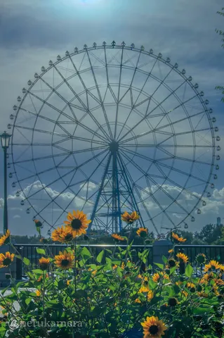 夏の空、ひまわりと観覧車