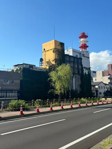 蔦の緑と空のコントラスト