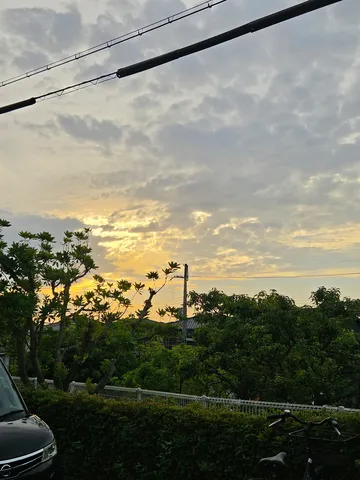 夕暮れ時の電線と緑