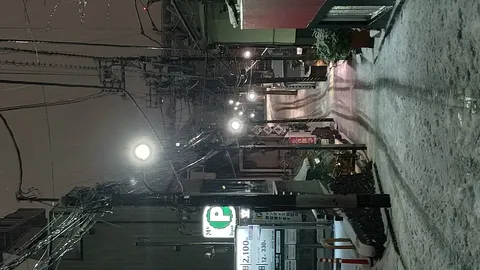 雪降る夜の電線迷宮