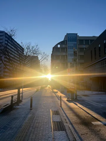 冬の街に差す朝の光