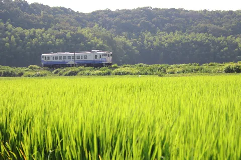 緑と列車、日本の原風景