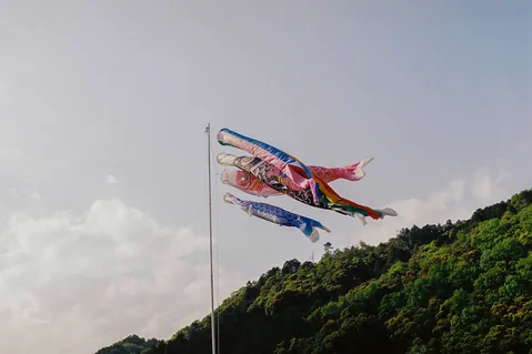 鯉のぼり、空を悠々と泳ぐ