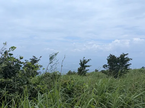 空と草のワルツ