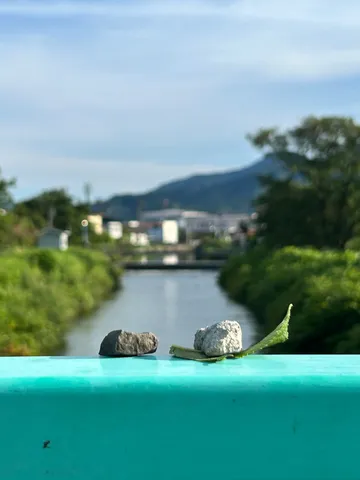 橋の上の小さな静物画