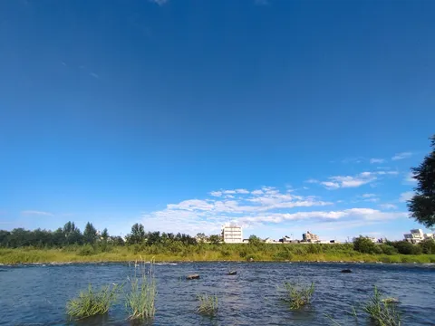澄み渡る夏の川