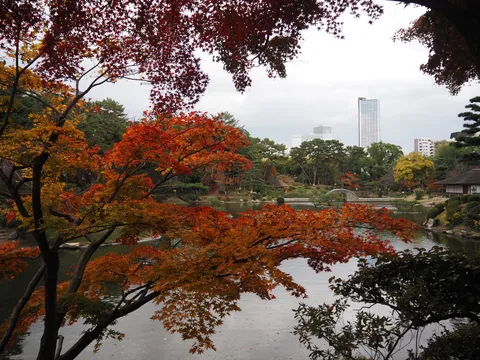 秋色の池と都市の間