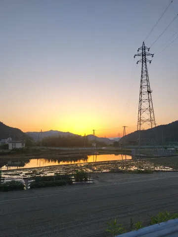 夕暮れ時の水田と送電鉄塔