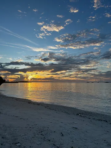 黄金の海に沈む夕日