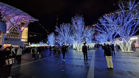 青い光の森を歩く夜