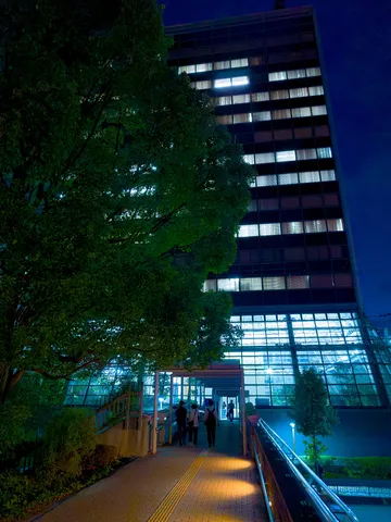 夜のオフィスビルと光の路