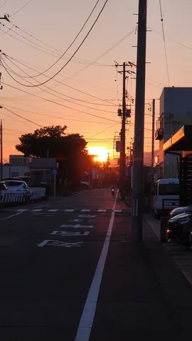 夕暮れの路地と電線の縦横