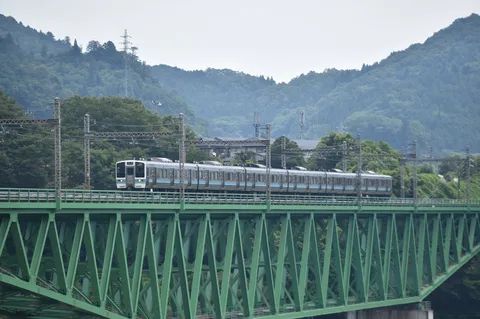 緑の橋を渡る電車の風景
