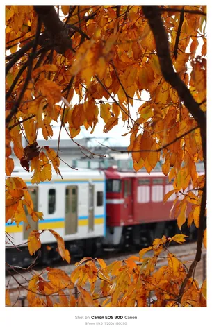 燃ゆる秋と鉄路の旅