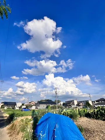 青空に浮かぶ白雲の畑