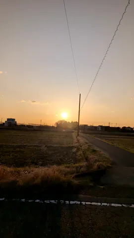 夕陽と電線、そして田園風景