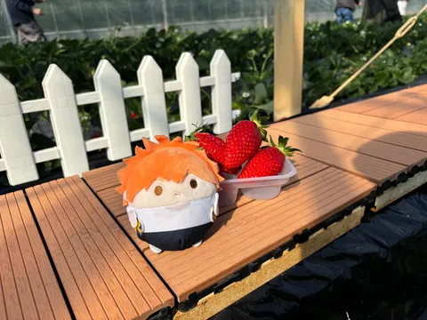 いちご畑の小さな相棒