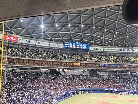 野球観戦、日常の一コマ