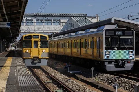 複線に並ぶ二色の電車