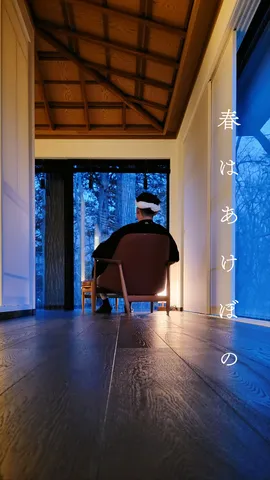 夜の静寂、森の気配