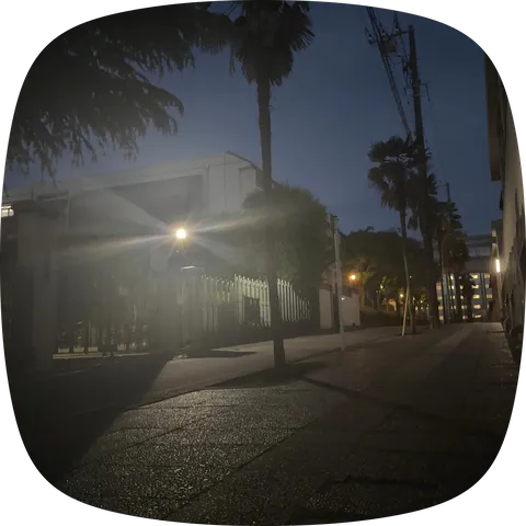 夜の帳、灯りの道