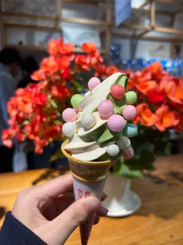 彩り豊かな和風ソフトクリーム