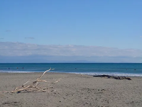 静寂の海辺、流木とサーファー