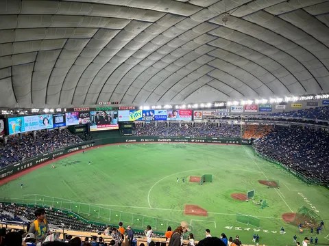 天幕の下の球場風景