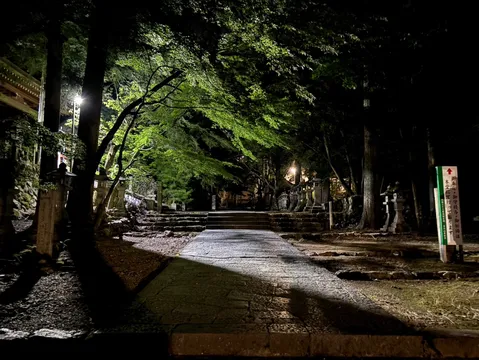 夜の静寂、石畳の参道