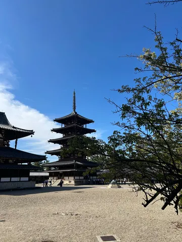 五重塔と木漏れ日のコントラスト