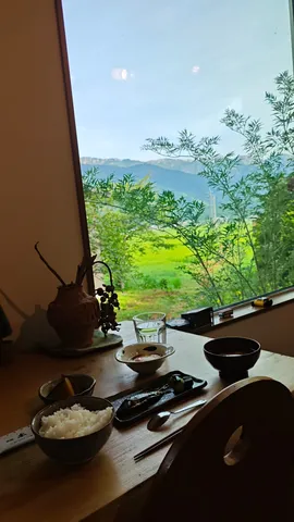 窓越しの緑と和朝食、贅沢な時間