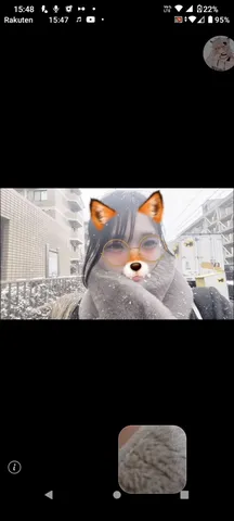 雪降る日の可愛いキツネ