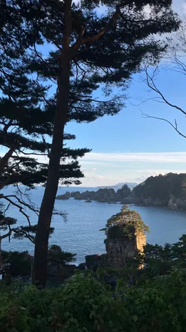 海と岩に寄り添う風景
