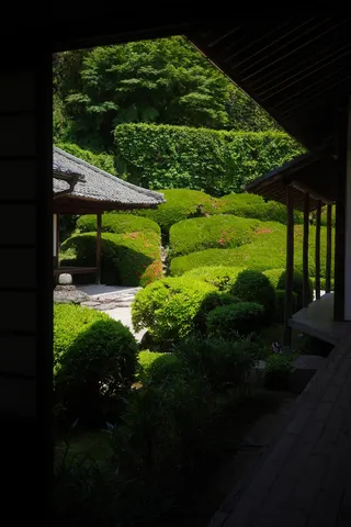 緑陰に映える静謐な日本庭園