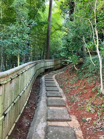 静寂を誘う竹林の小道