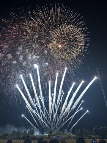 夜空に咲く光の花束