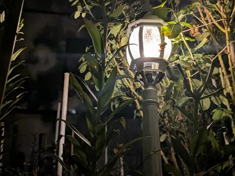 夜の灯りと緑のコントラスト