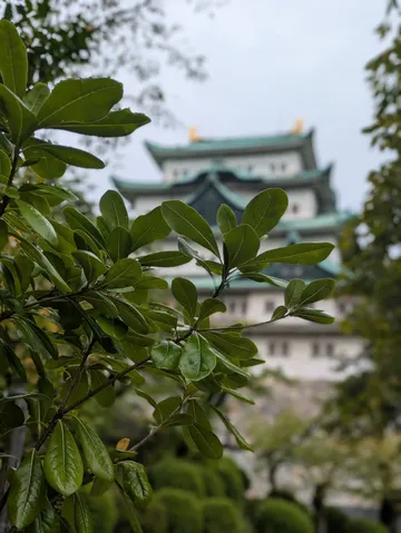 緑と塔が重なる静謐