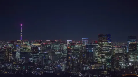 夜景に染まる都市の鼓動