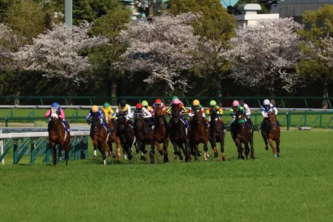 満開の桜と競走馬たち