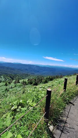 青と緑がささやく峠道