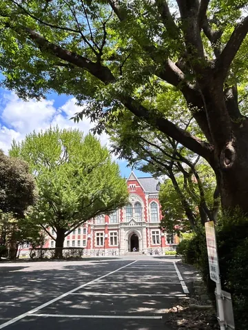 木洩れ日の煉瓦と円弧