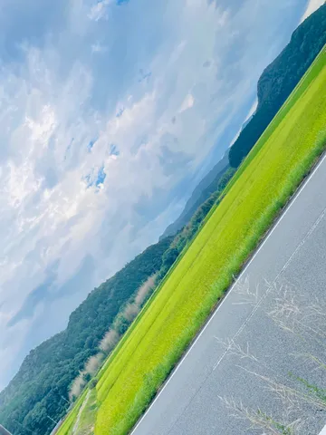 風を走る緑のライン