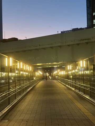 都会の夜景、光の回廊